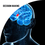 The Impact of Cognitive Biases on Decision Making